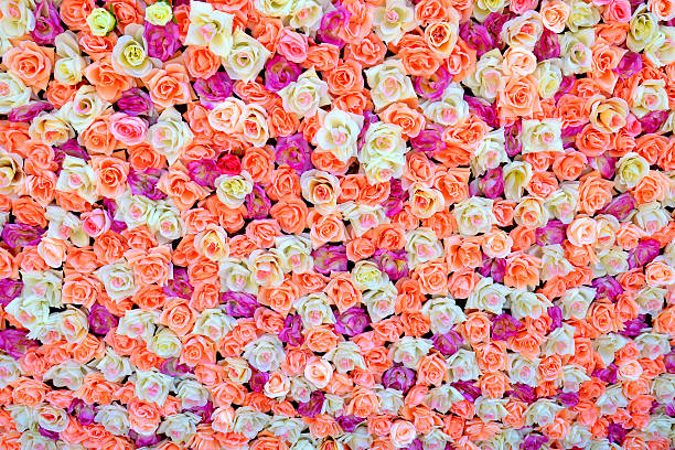 istock background of colored roses 483411224