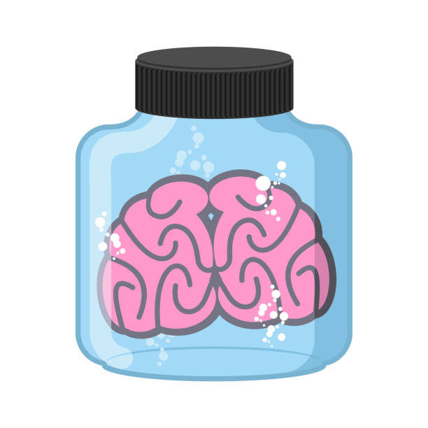 istock Brains  with Jars. Laboratory glass bulb with human Organ. Vecto 483412798