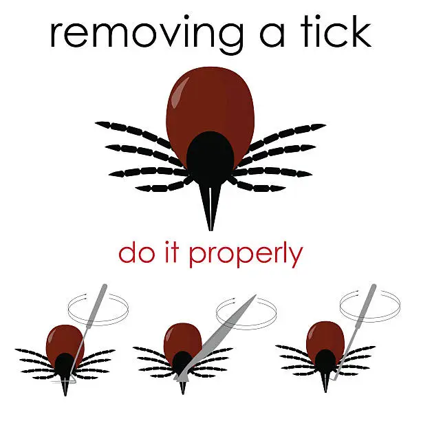 Vector illustration of removing a tick