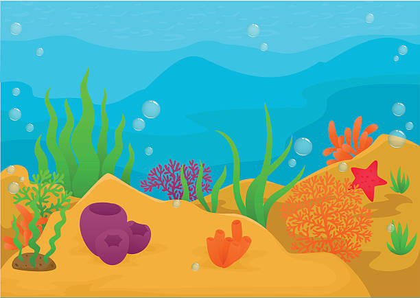 podwodny krajobraz tło - animal animal themes sea below stock illustrations