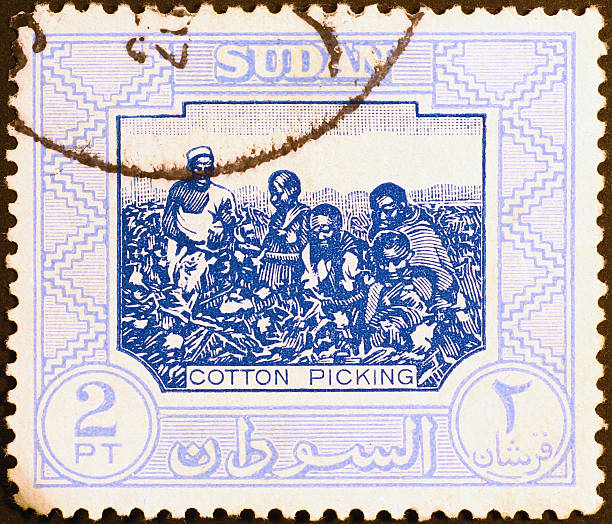 istock Cotton picking on old sudanese postage stamp 483417638