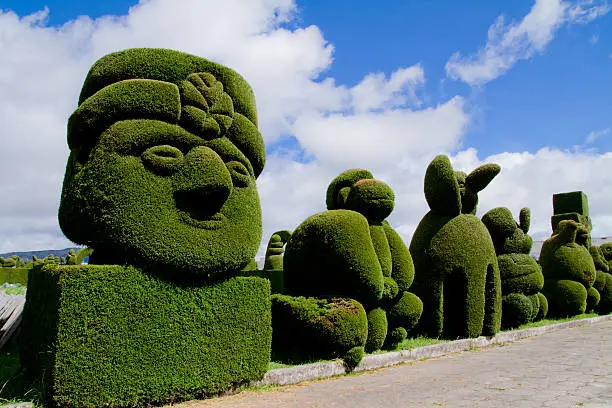 Photo of sculpted trees topiary, Tulcan Ecuador