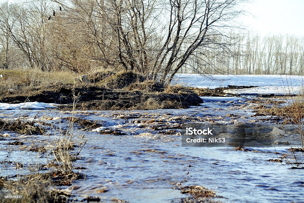 Springtime in steepe edge Came unusual warm springtime in steppe Altaya Agriculture Stock Photo