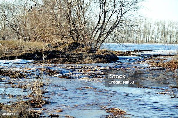 Springtime In Steepe Edge Stock Photo - Download Image Now - Agriculture, Birch Tree, Blue