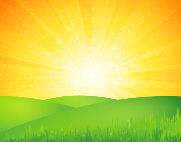 ilustrações, clipart, desenhos animados e ícones de paisagem de verão - sunlight summer grass landscaped