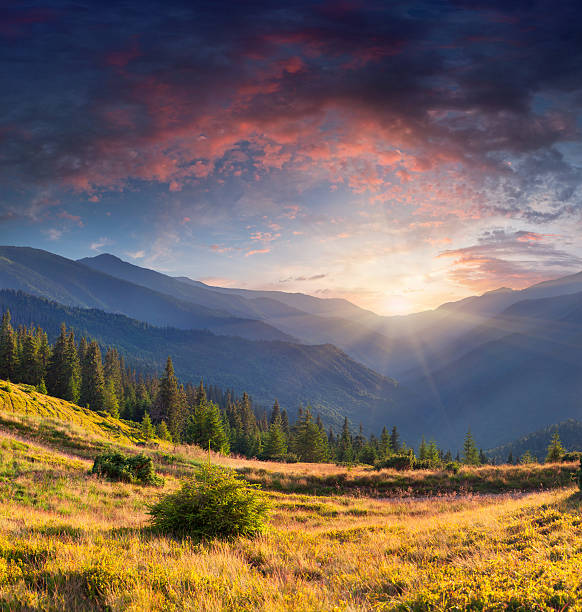 istock Colorful summer landscape in mountains 483420593