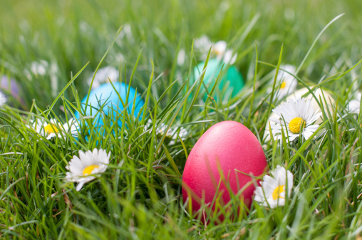 Red Easter egg in a nest among spring flowers