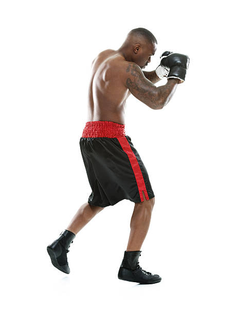 Muscular boxer boxing Muscular boxer boxinghttp://www.twodozendesign.info/i/1.png body adornment rear view young men men stock pictures, royalty-free photos & images