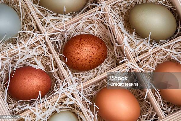 Assortment Of Different Color Eggs In A Crate Stock Photo - Download Image Now - Animal Egg, Baby Chicken, Breakfast