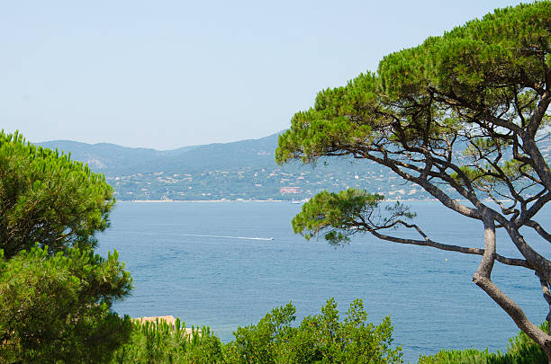 istock Mediterranean landscape background in France 483422320