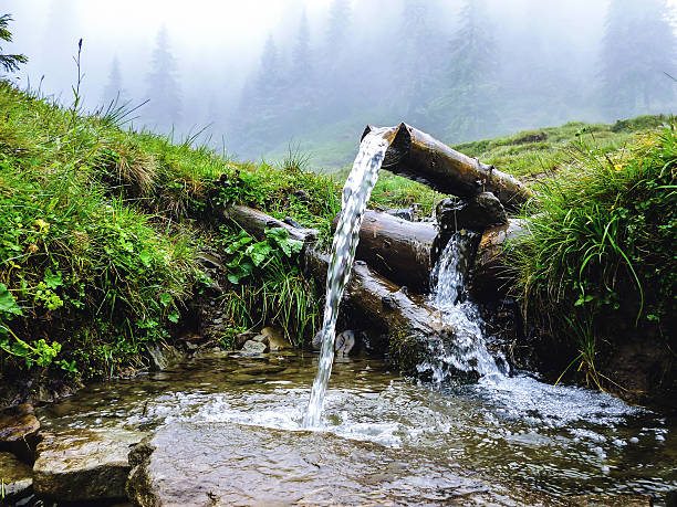 Carpathians, source of spring fresh water. Near mount Petros
