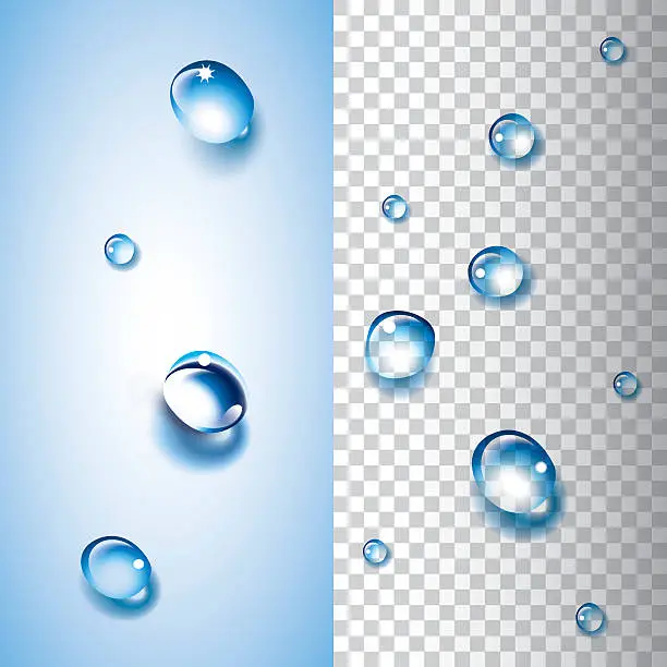 Vector illustration of Water drops (transparent)