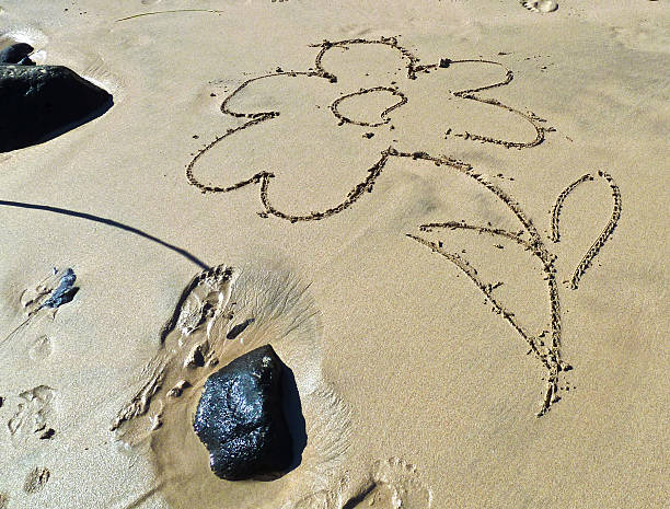 istock flower painted in the wet sand 483425161