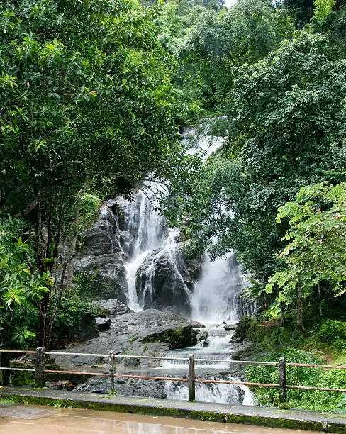 Stream of Waterfall lash down.Torrential Water flow hit rock.Around are wet leafage and wet tree.Green forest in Rainy Season.