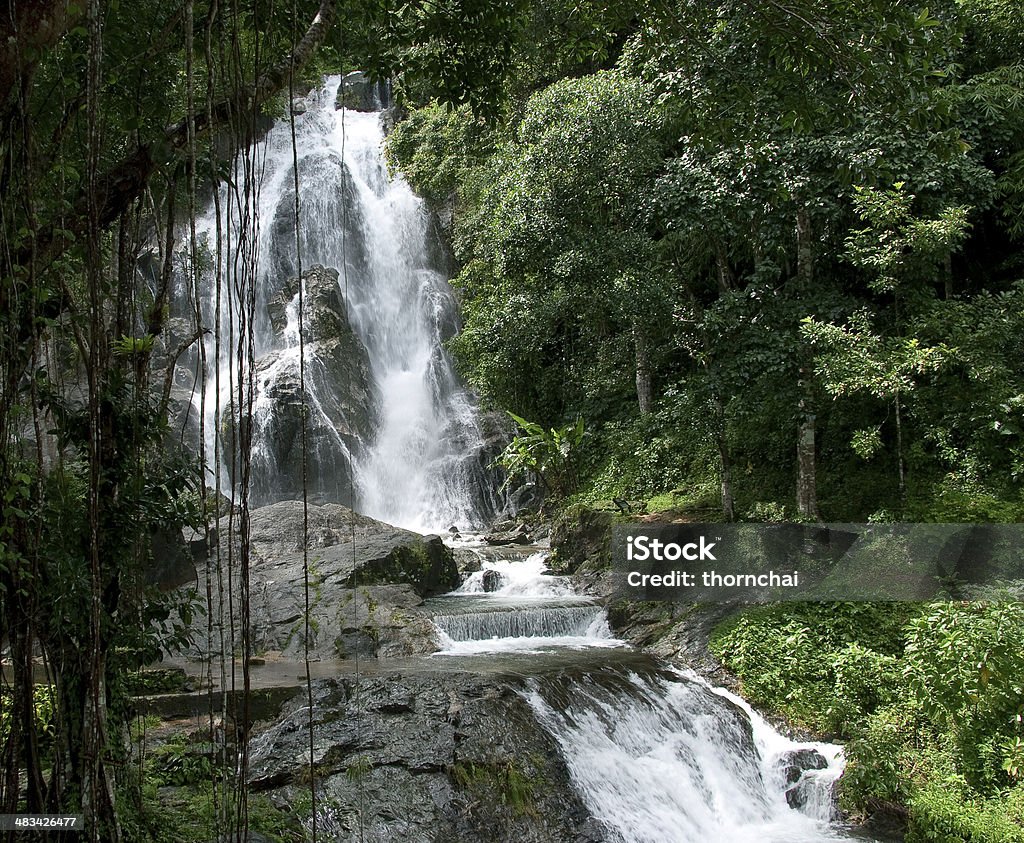 Cascada y bosque verde en época de lluvia - Foto de stock de Aire libre libre de derechos