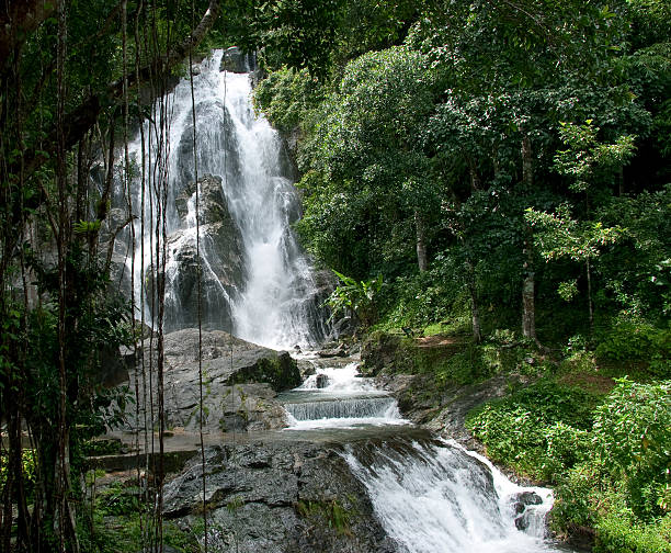 istock Waterfall  and Green Forest in Rainy Season 483426477