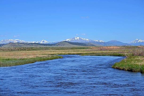 บลูเมาน์เทนริเวอร์ - platte river ภาพสต็อก ภาพถ่ายและรูปภาพปลอดค่าลิขสิทธิ์