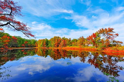 Autumn colors reflecting in a pond next to the Chesapeake Bay in Maryland