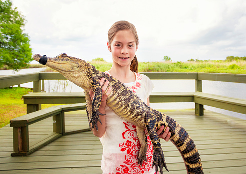 An adventurous cute girl holding a crocodile after a Florida everglades boat ride experience. Enjoying the novelty of holding a dangerous animal