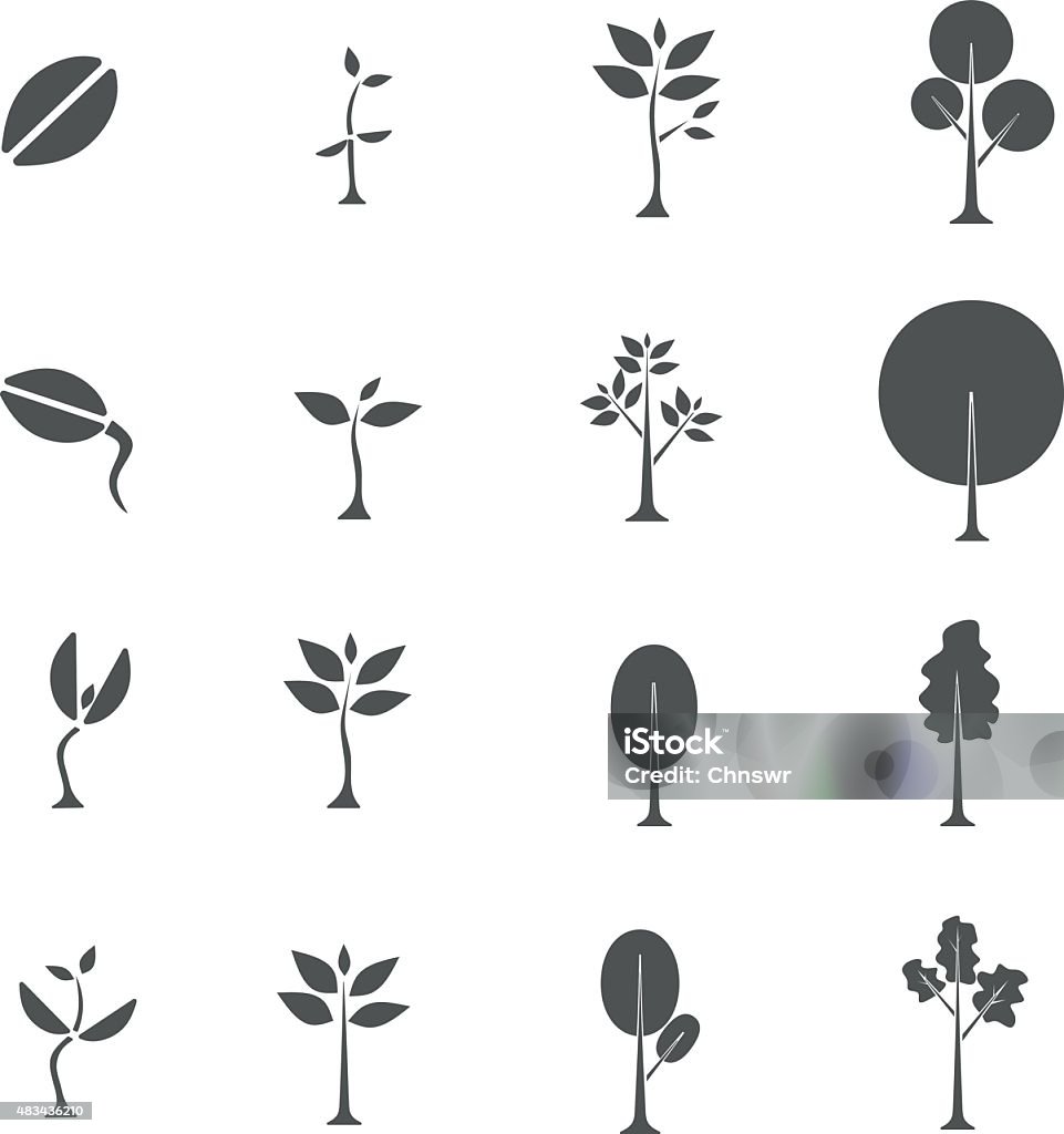 Tree Seed Vector From Seed To Tree Vector Stock Illustration - Download Image Now - 2015 ...