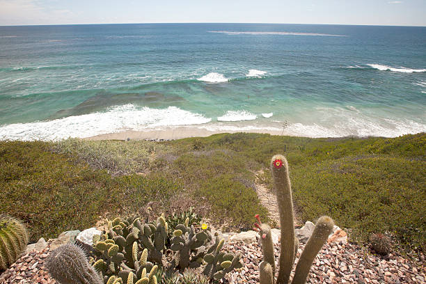 istock Views of Encinitas Coast 483437058