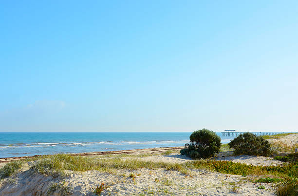 istock Australian beach and ocean landscape. 483440038