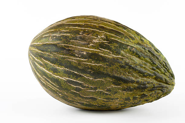 istock Whole single Piel de sapo melon on white background 483447318