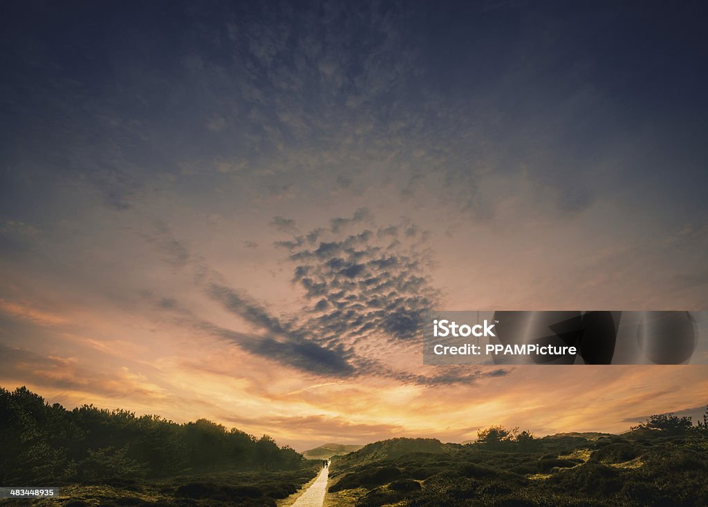 Dans les dunes - Photo de Allemagne libre de droits