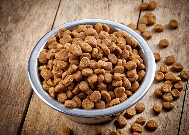 Bowl of pets food on wooden floor
