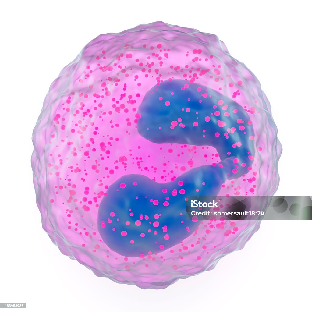 好酸球顆粒白血球 - 好酸球のロイヤリティフリーストックフォト