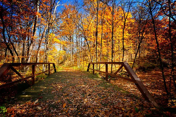 A beautiful autumn day with a long walk in a State Park. A bridge covered in autumn leaves.
