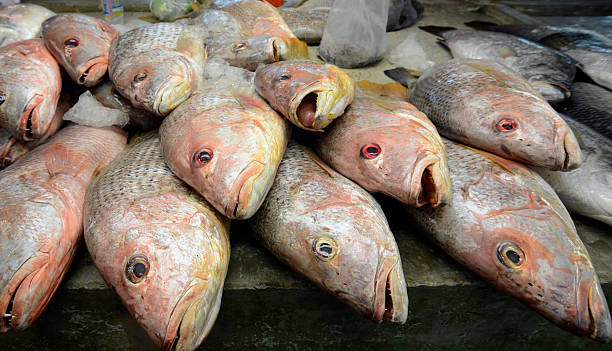 istock THAILAND PHUKET FISCHMARKET FISH 483454891