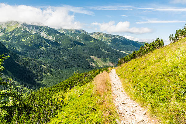 istock Trail with views of mountain peaks and valleys 483457968