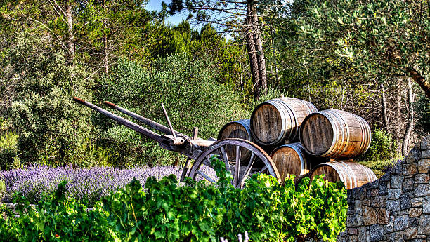 istock Barrels in a wine-growing property in Provence 483459070