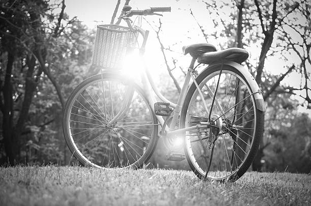 istock Classic Bicycle at sunset in the park or deep forest 483464104