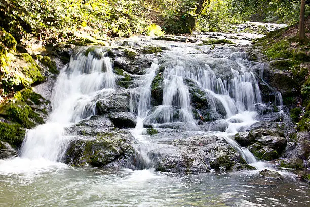 waterfall scape