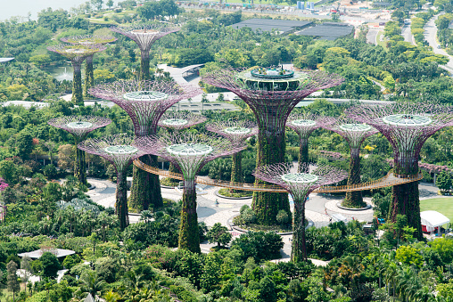 Singapore, Singapore - June 25, 2015: Gardens by the bay Singapore during day time. People walking around in the park.