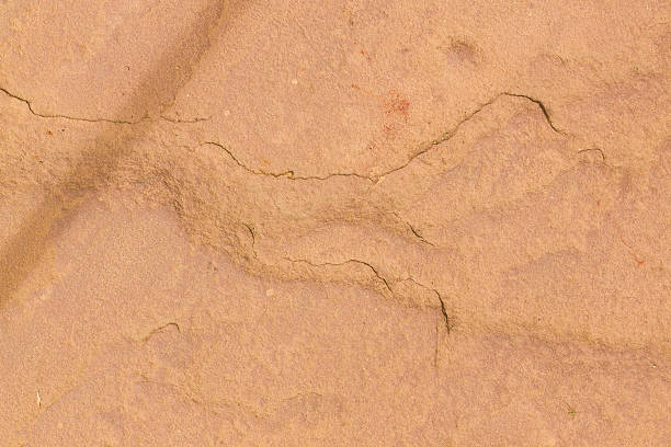 istock Close Up of Rock texture background 483474138