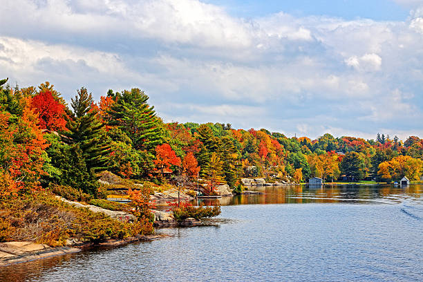 istock Muskoka Autumn 483475258