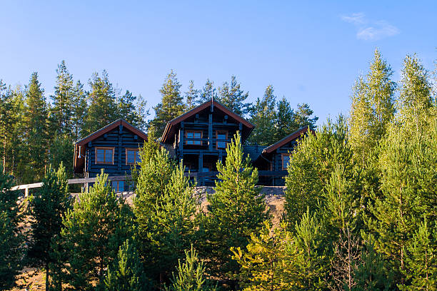 istock House on hill, Forest, Finland 483479780