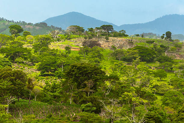 istock Latin American Landscape 483479834