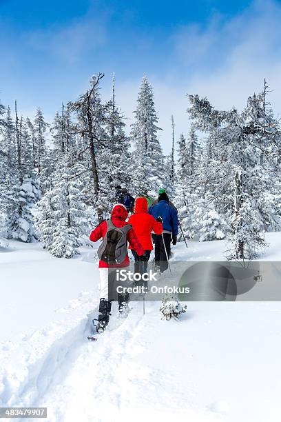 Group Of People Snowshoeing In Winter Forest Stock Photo - Download Image Now - 30-34 Years, Active Lifestyle, Activity