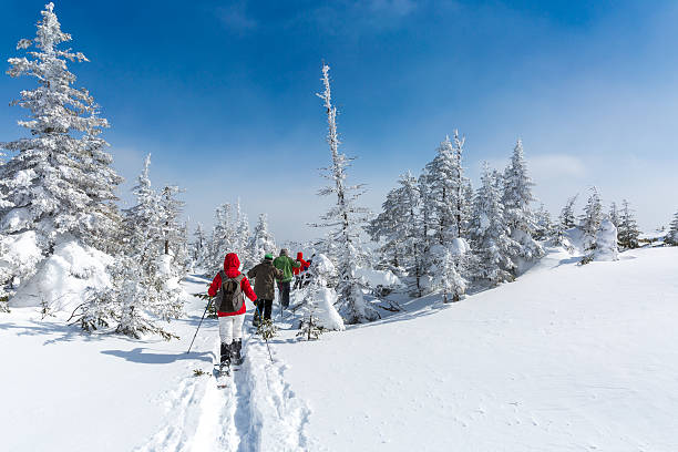 группа людей, ходьба в снегоступах зимой, лес - winter snowshoeing running snowshoe стоковые фото и изображения