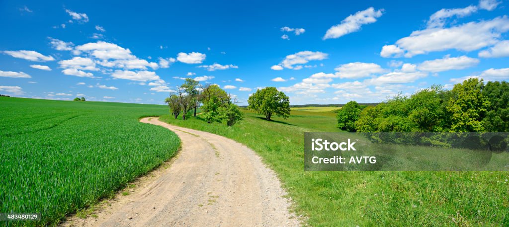 Farm Road a través de campos de paisaje de primavera verde - Foto de stock de Agricultura libre de derechos