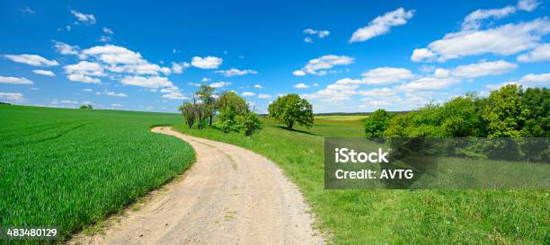 Farm Road A Través De Campos De Paisaje De Primavera Verde Foto de stock y más banco de imágenes de Agricultura