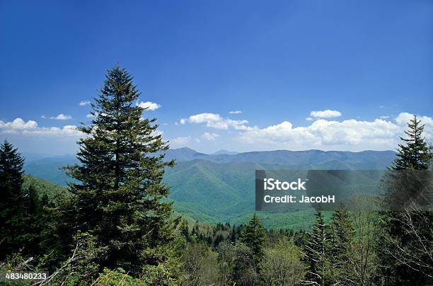 Blue Ridge Mountains Stockfoto und mehr Bilder von Blau - Blau, Wald, Great Smoky Mountains