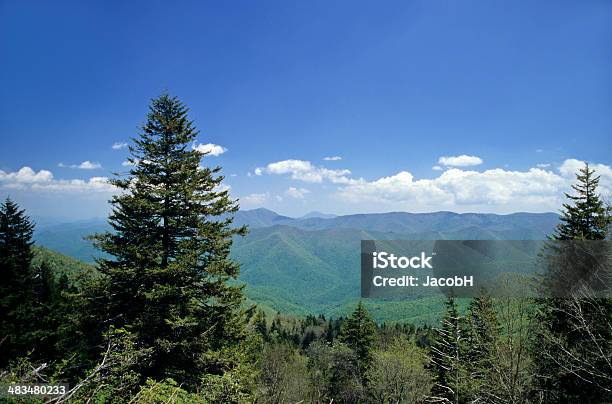 Foto de Montanhas Blue Ridge e mais fotos de stock de Azul - Azul, Floresta, Montanhas Great Smoky