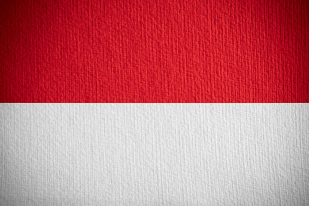 Indonesia Grunge Flag