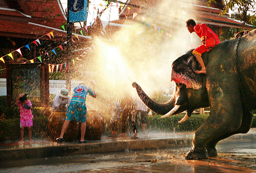 AYUTTAYA, THAILAND - APRIL 15: Songkran Festival is celebrated in a traditional New Year's Day from April 13 to 15, with the splashing water with elephants on April 15, 2011 in Bangkok.