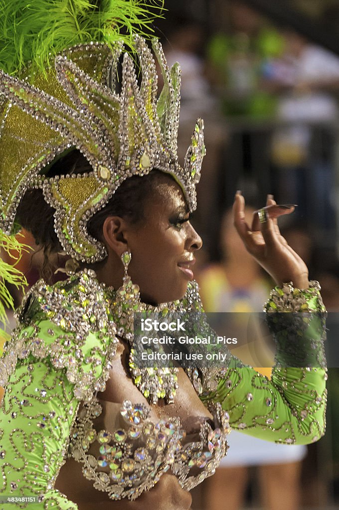 Défilé du carnaval - Photo de 2014 libre de droits